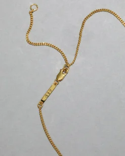 Asterales Gold Solitaire Necklace
